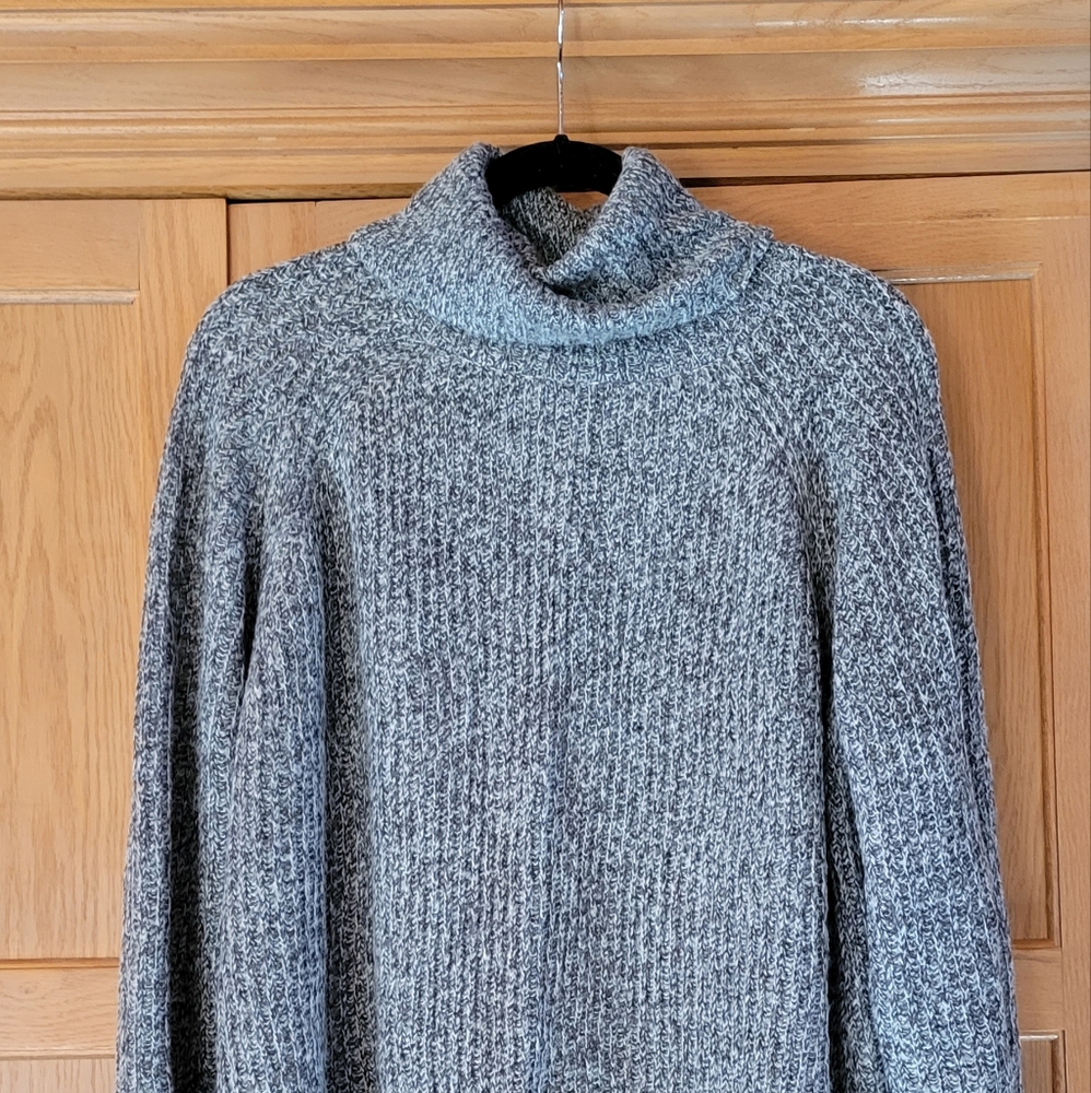 Express High Low Turtleneck Sweater